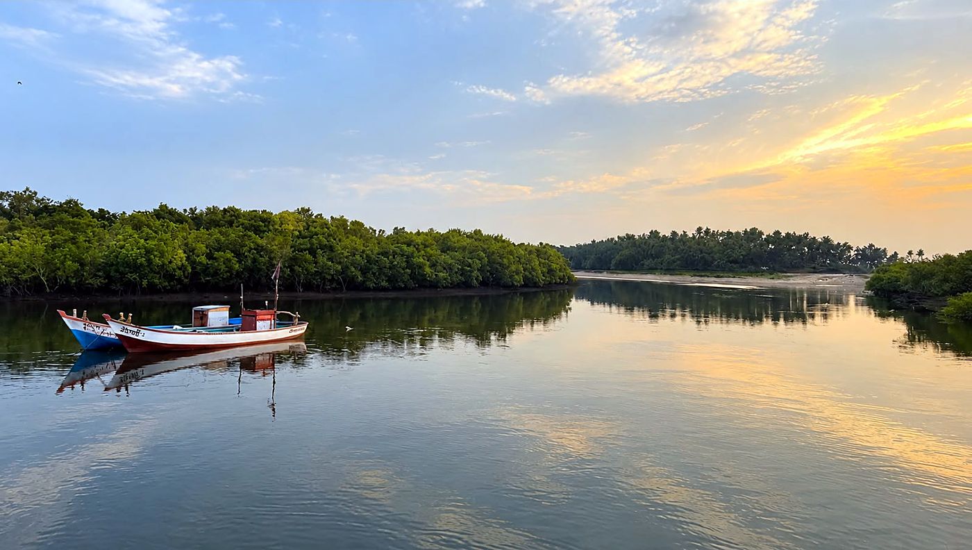 Golden hour on the river
