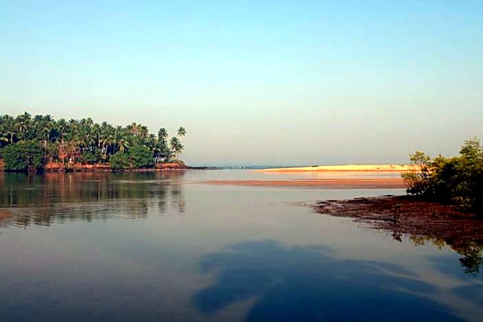 Calm estuary with palms and a sandbar
